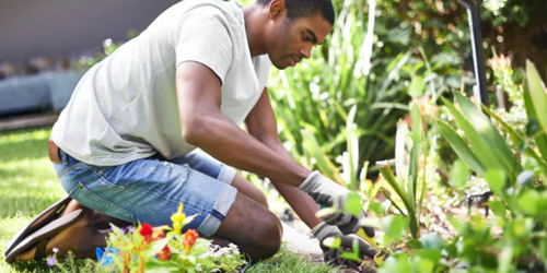 خدمات وعناية